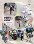 The Maker Fair in Oakland (c.dayton)