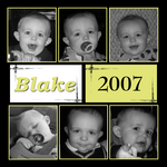 cover of Blake's 2nd year (brooklyn1416)